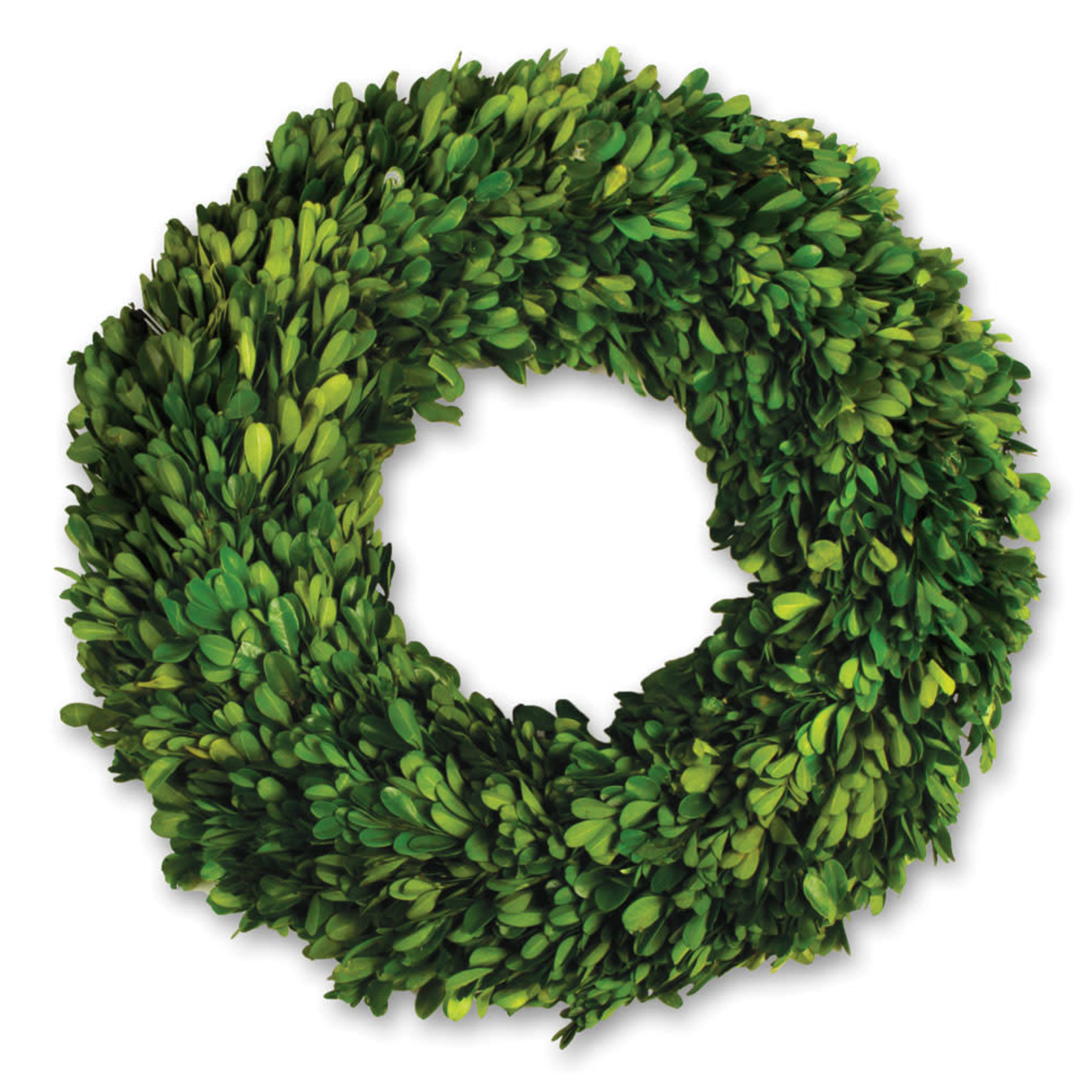 Napa Home and Garden Boxwood Wreath 16" Preserved English