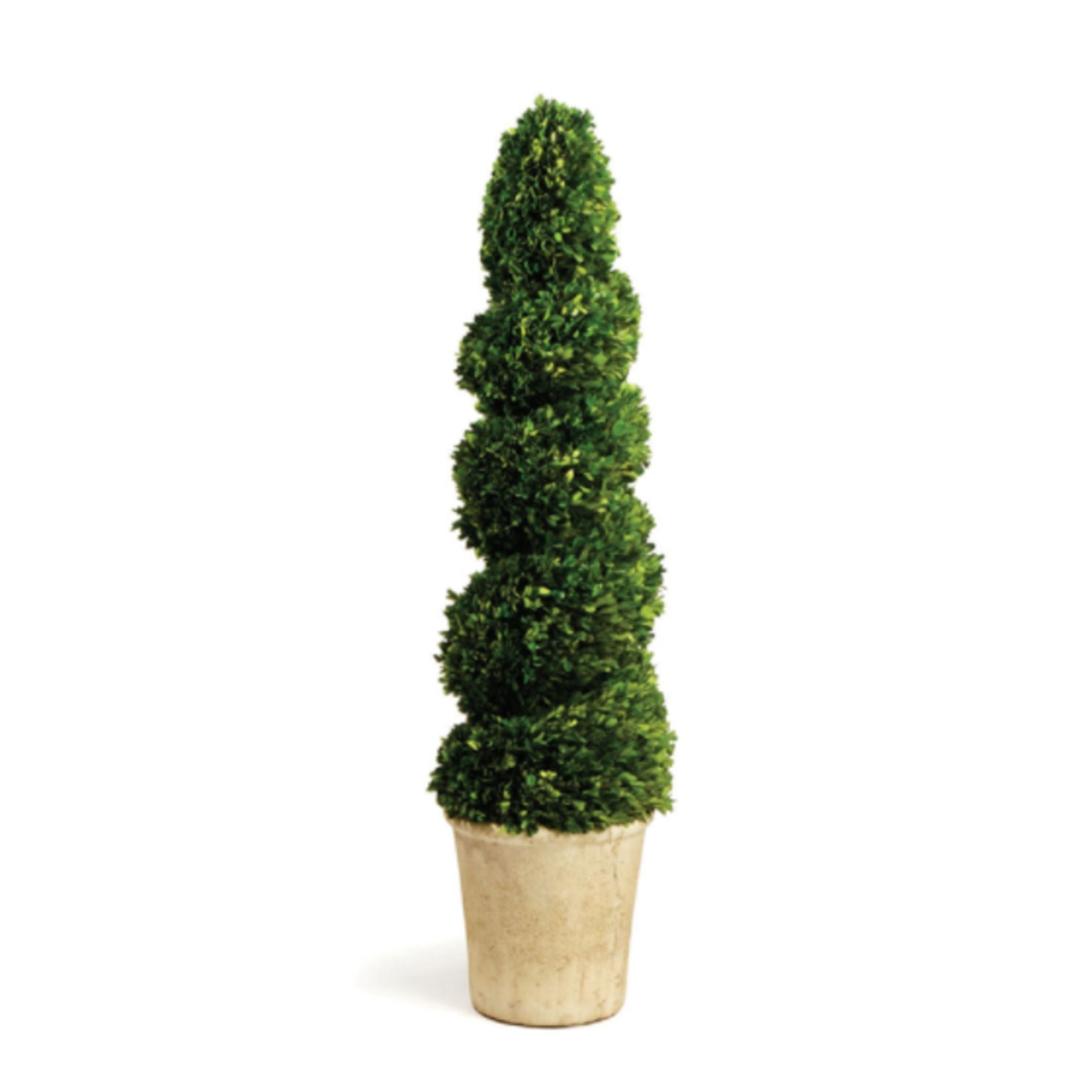 Napa Home and Garden Spiral Topiary -52.5"