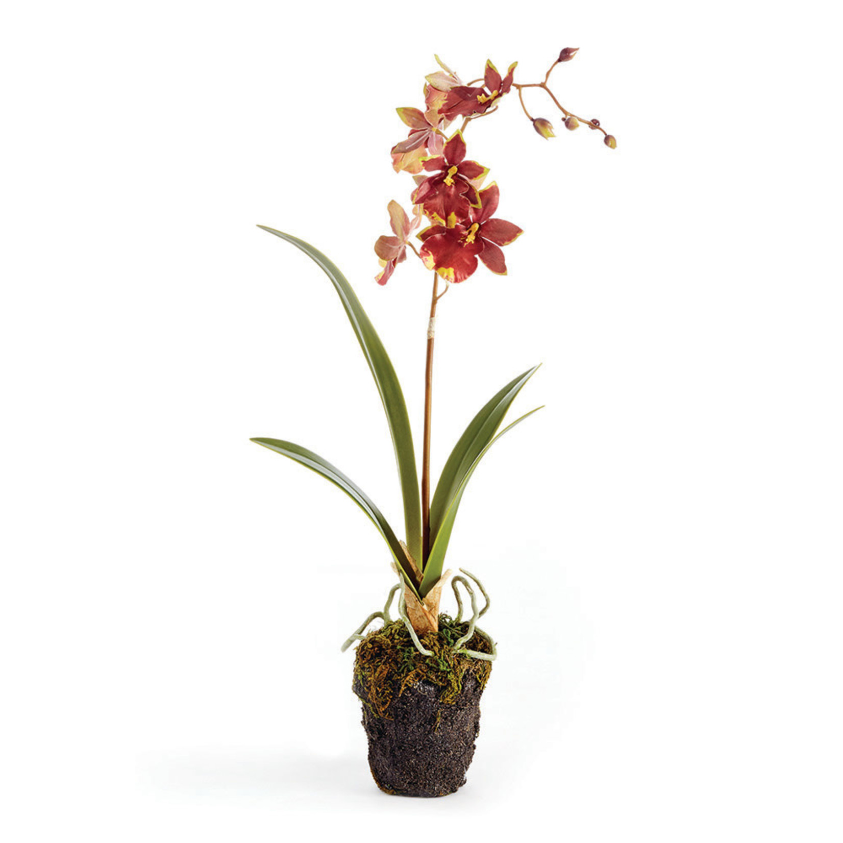 Napa Home and Garden Dancing Orchid Drop In 15"