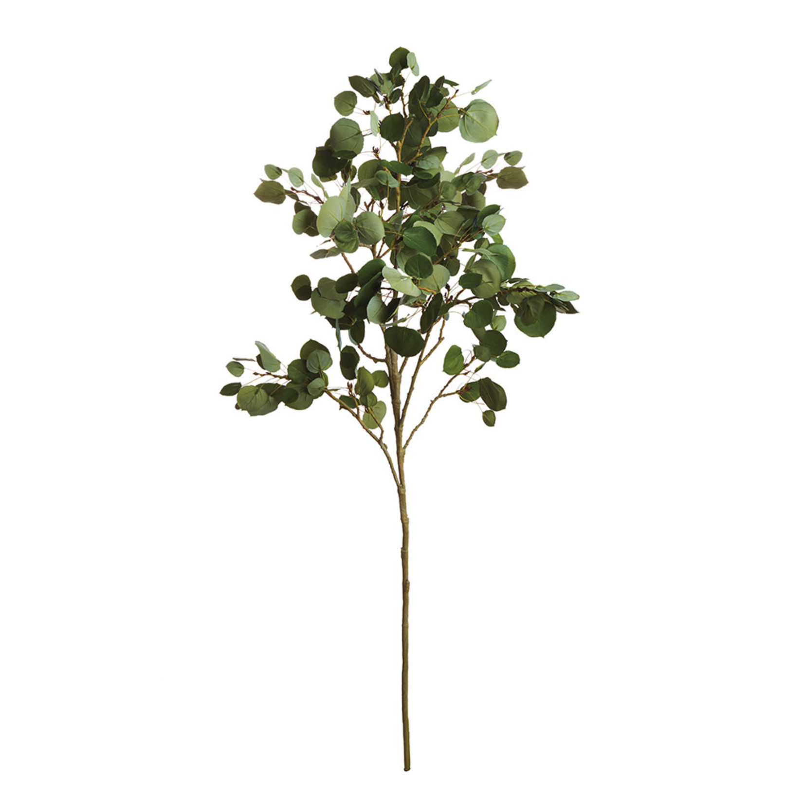 Napa Home and Garden Aspen Branch Green 51"