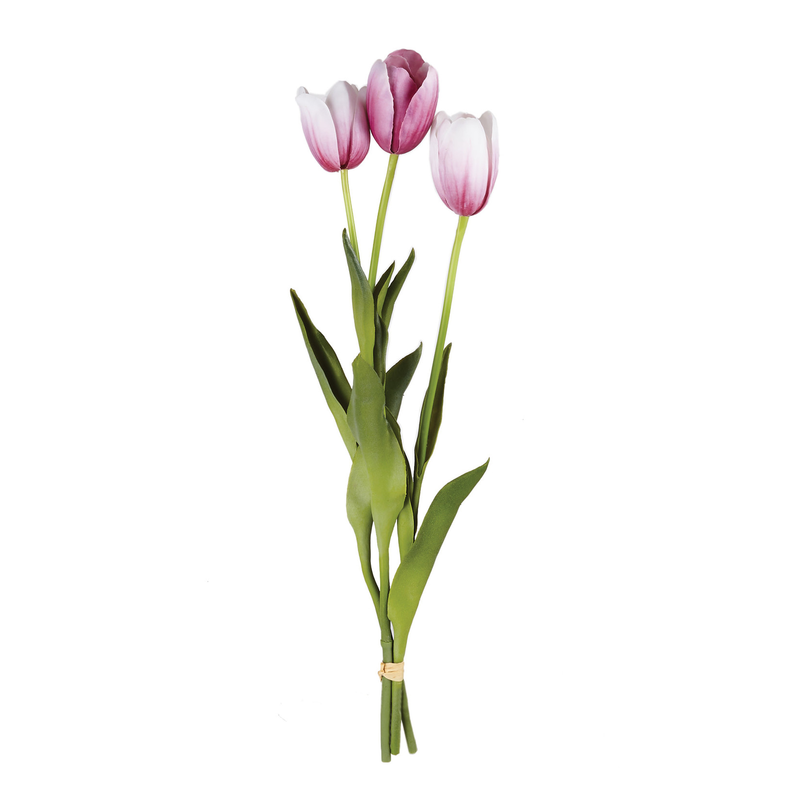 Napa Home and Garden French Fuchsia Tulip Bundle S/3