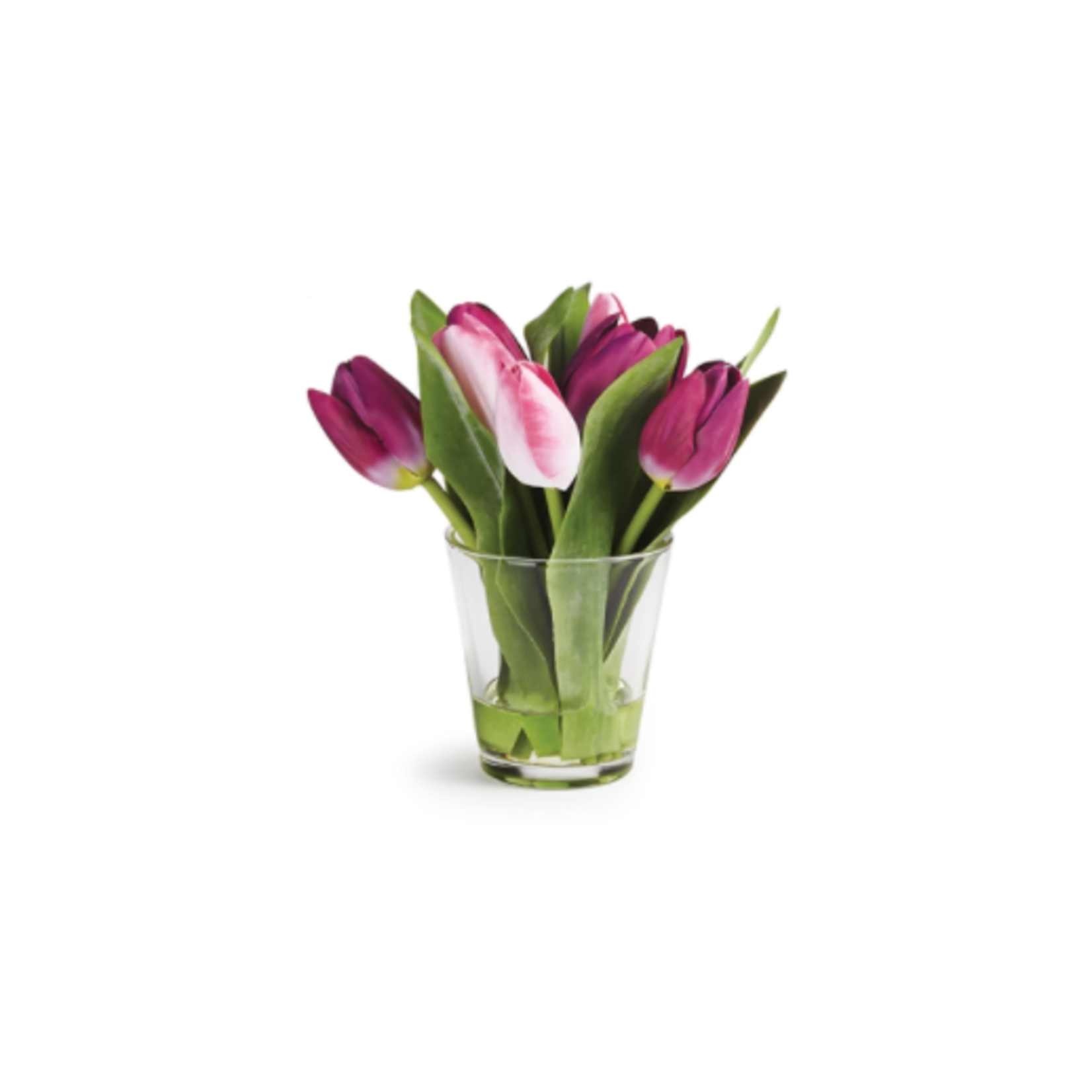 Napa Home and Garden Dutch Tulip Arrangement in Vase 7.5"