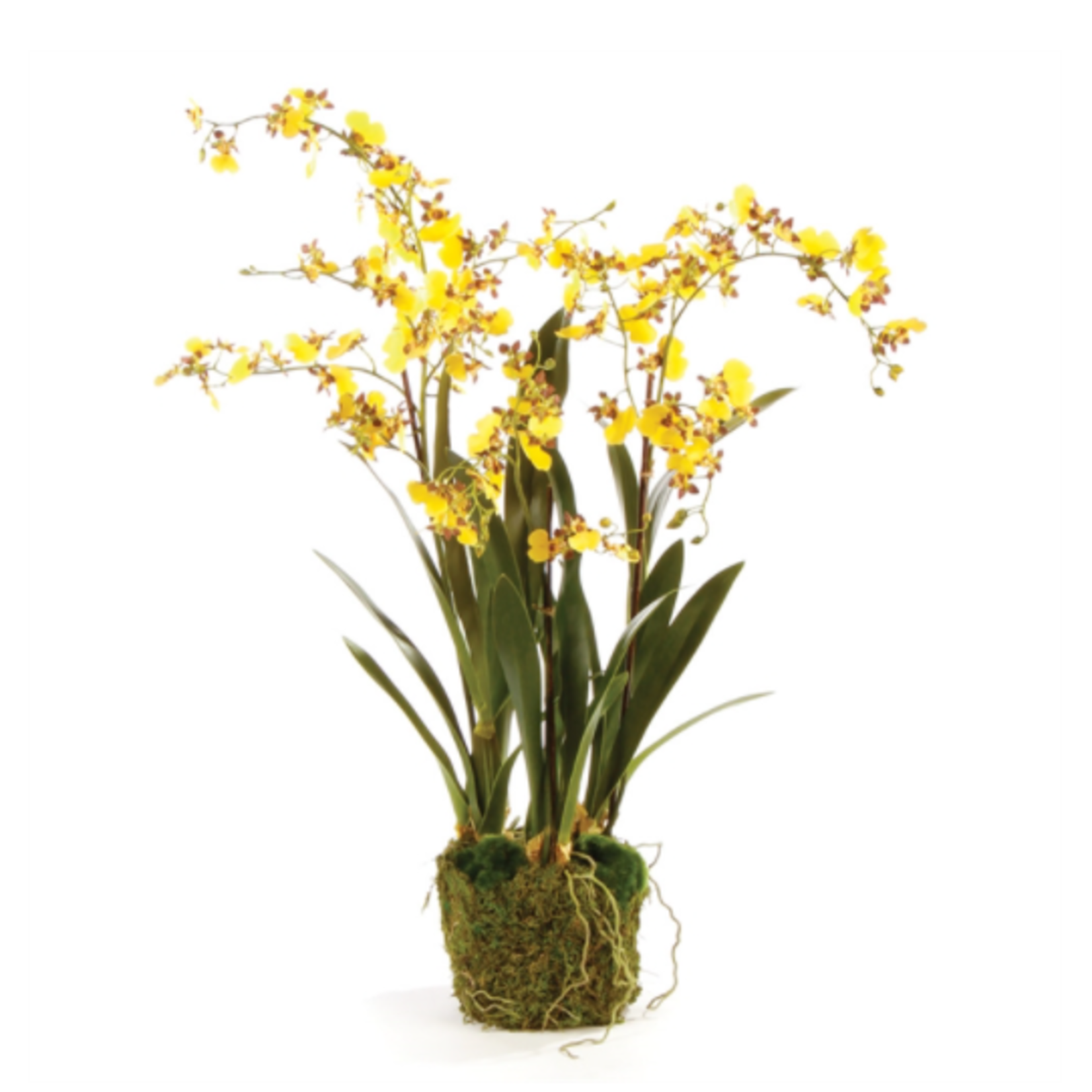 Napa Home and Garden Dancing Yellow Orchid Faux Floral Drop-in 32" in White Artichoke Pot