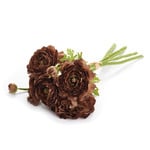 Napa Home and Garden Brown Ranunculus Bundle Faux
