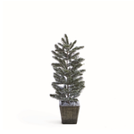 Napa Home and Garden Frosted Pine Sapling in Pot 20.5"