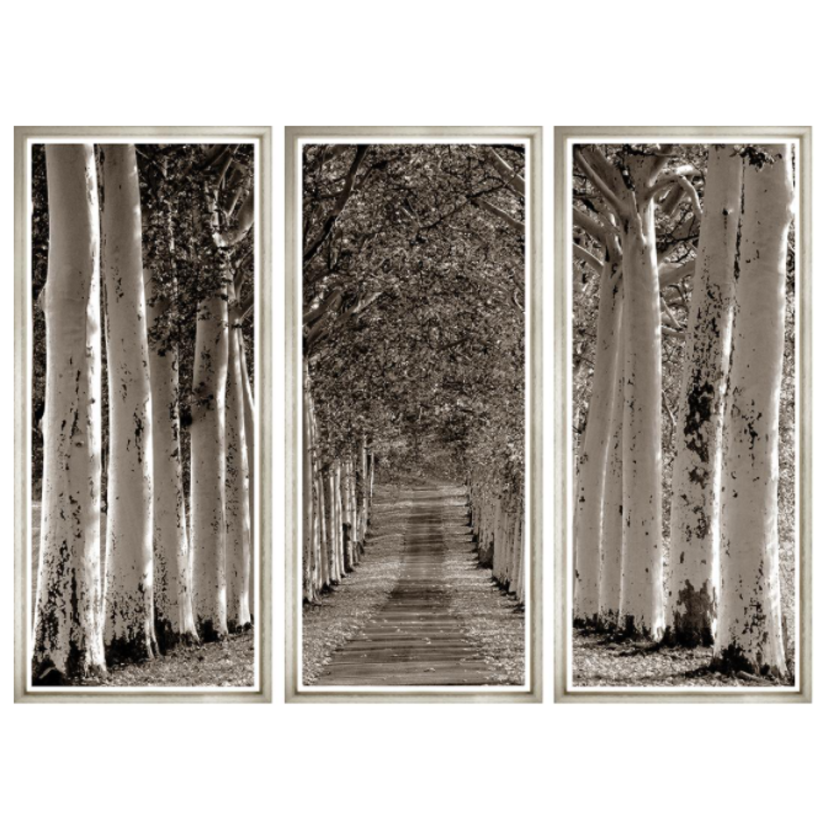 Trowbridge Gallery Avenue of Trees Triptych Photography Artwork