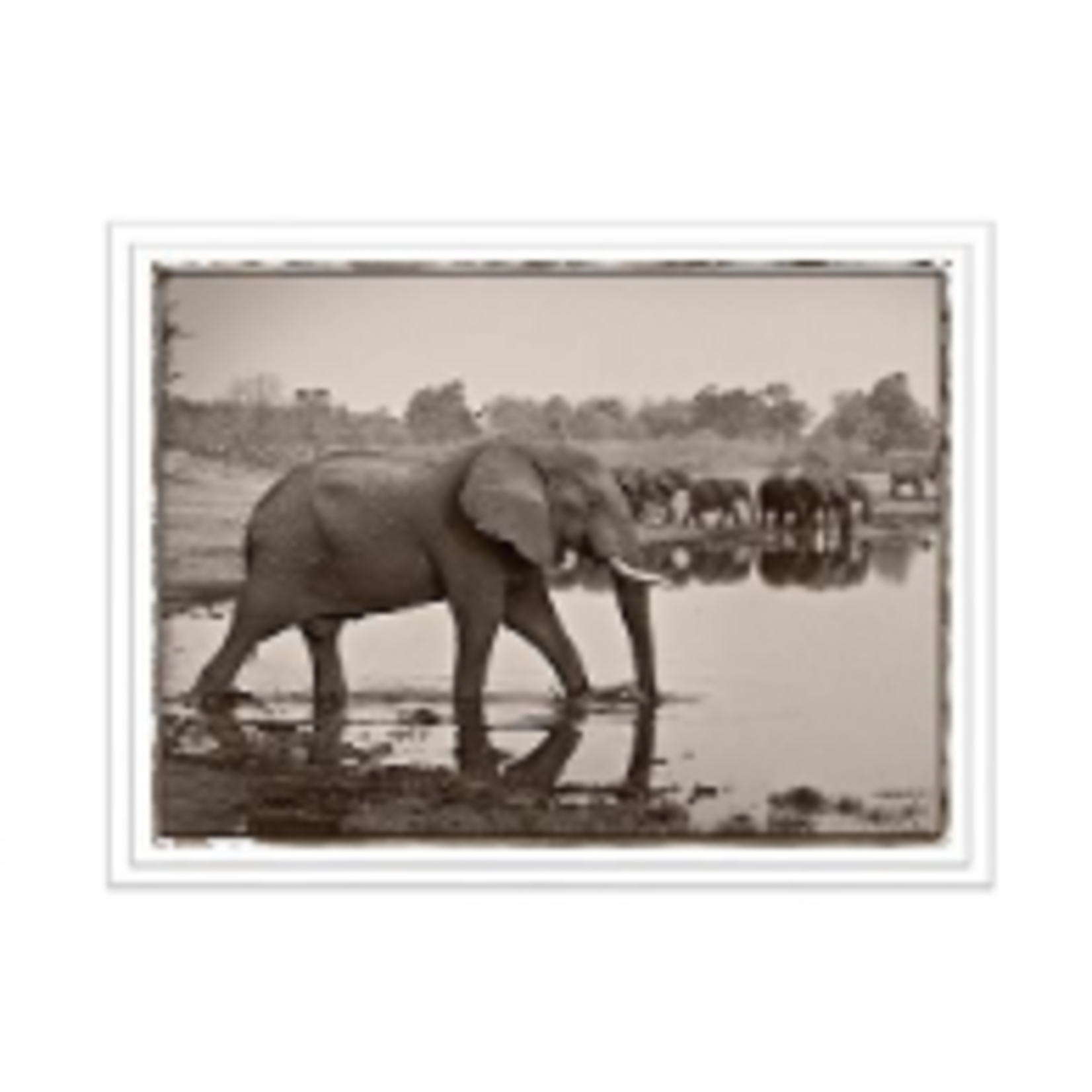 Trowbridge Gallery Elephant In Water Framed Art Print