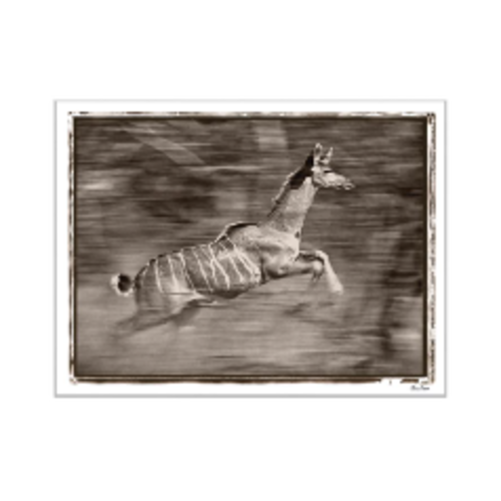Trowbridge Gallery African Deer Framed Art Print