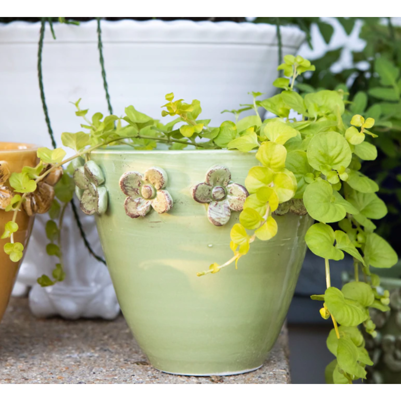 Vietri Rustic Garden Pistachio Green Ceramic Cachepot - Small 6.25" x 5"