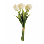 Napa Home and Garden White Dutch Tulip Bundle
