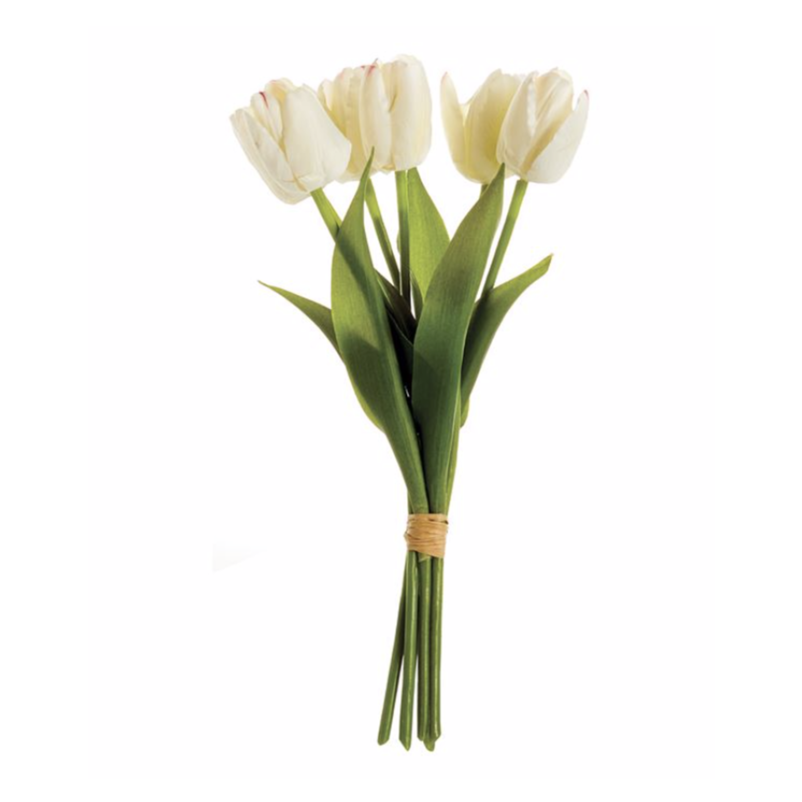 Napa Home and Garden White Dutch Tulip Bundle