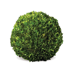 Napa Home and Garden Preserved Boxwood Ball 16"