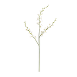 Napa Home and Garden Orchid Stem Faux White