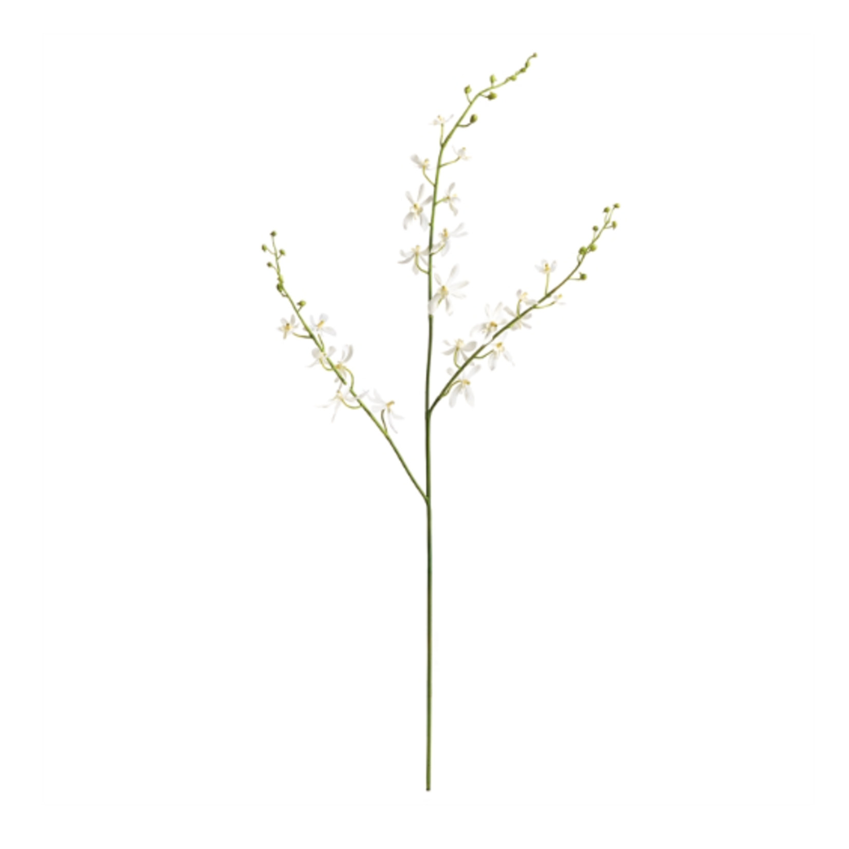 Napa Home and Garden Orchid Stem Faux White