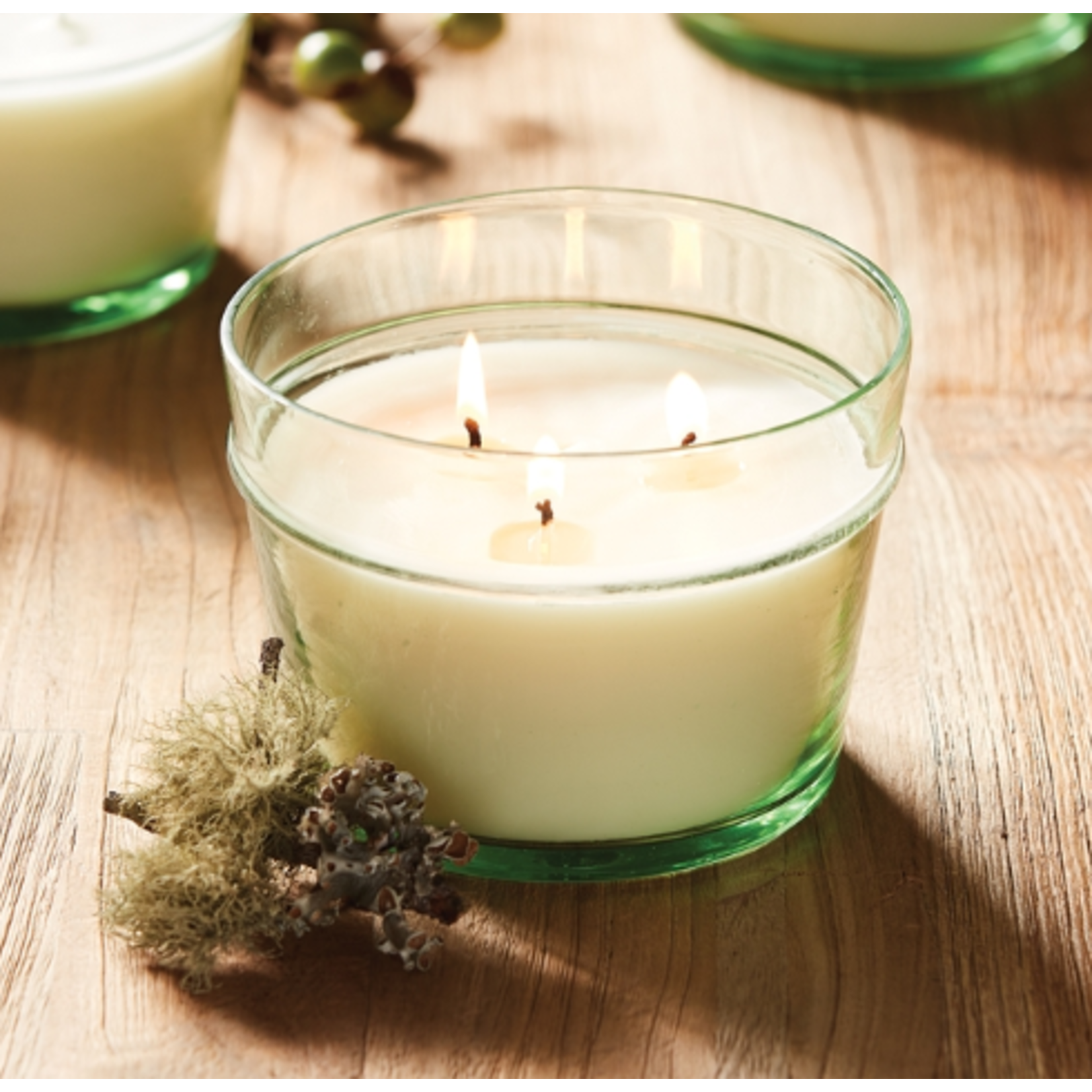 Napa Home and Garden Floriculture Forest Rain Soy Candle
