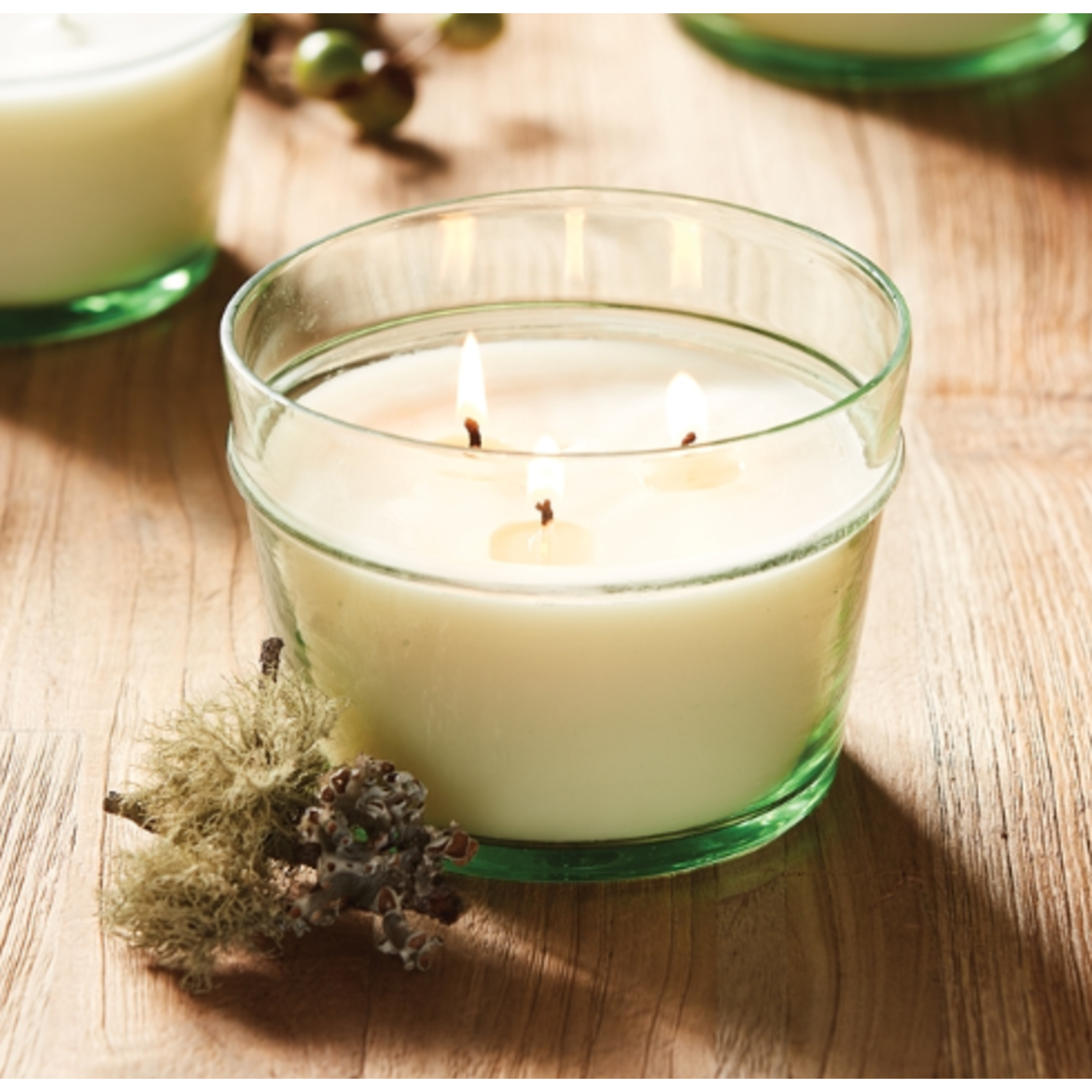 Napa Home and Garden Forest Rain Soy Candle