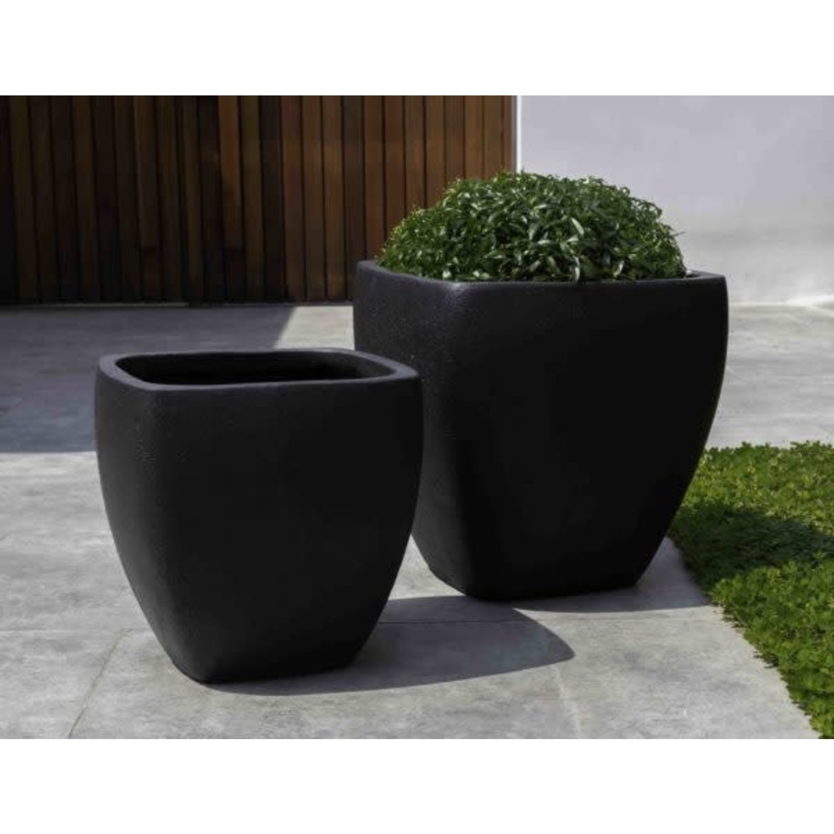 Campania Tecate Playa Noche Black Cement Planter - Large 20.50″ x 19.75″