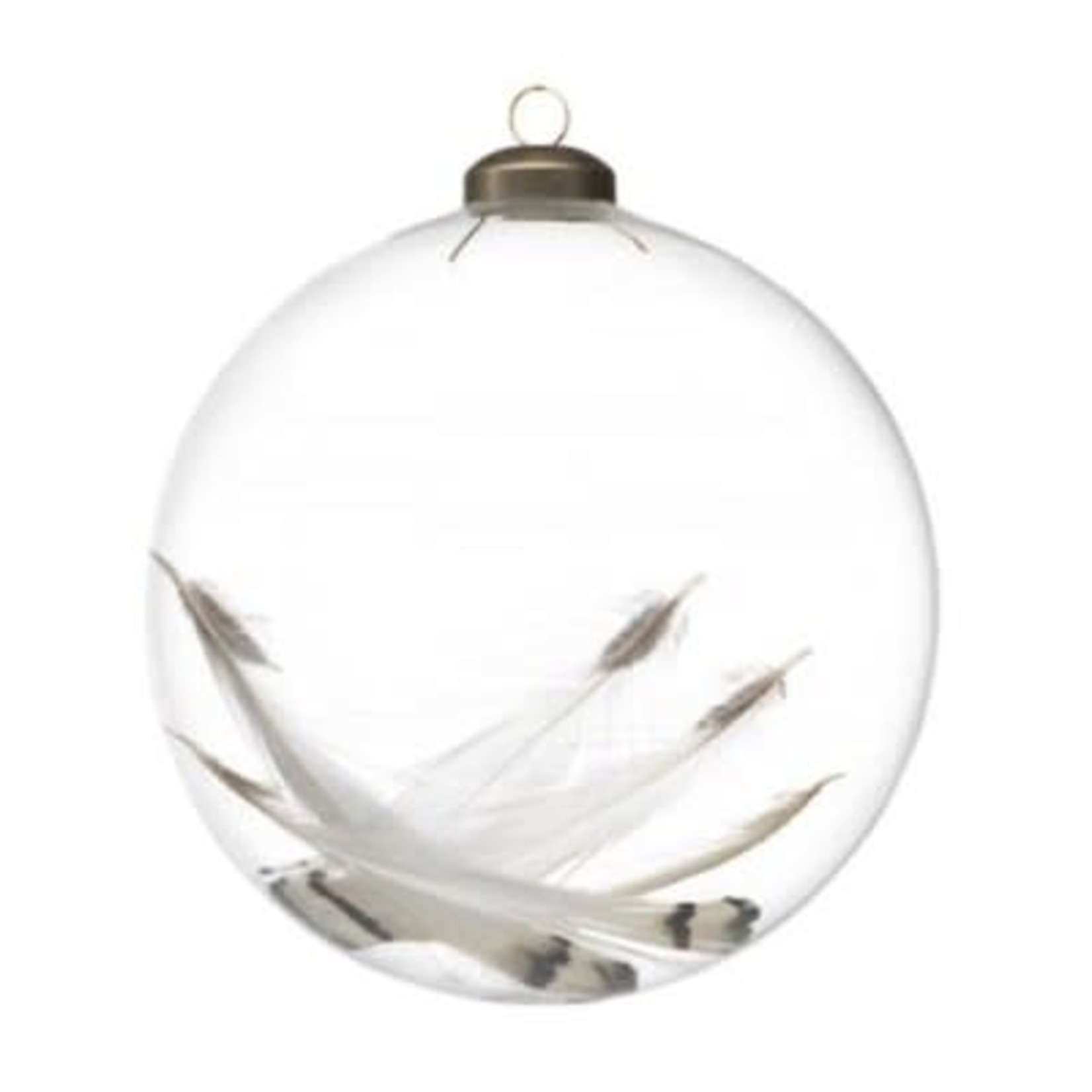 Zodax Clear Ball Ornament with Feather Medium