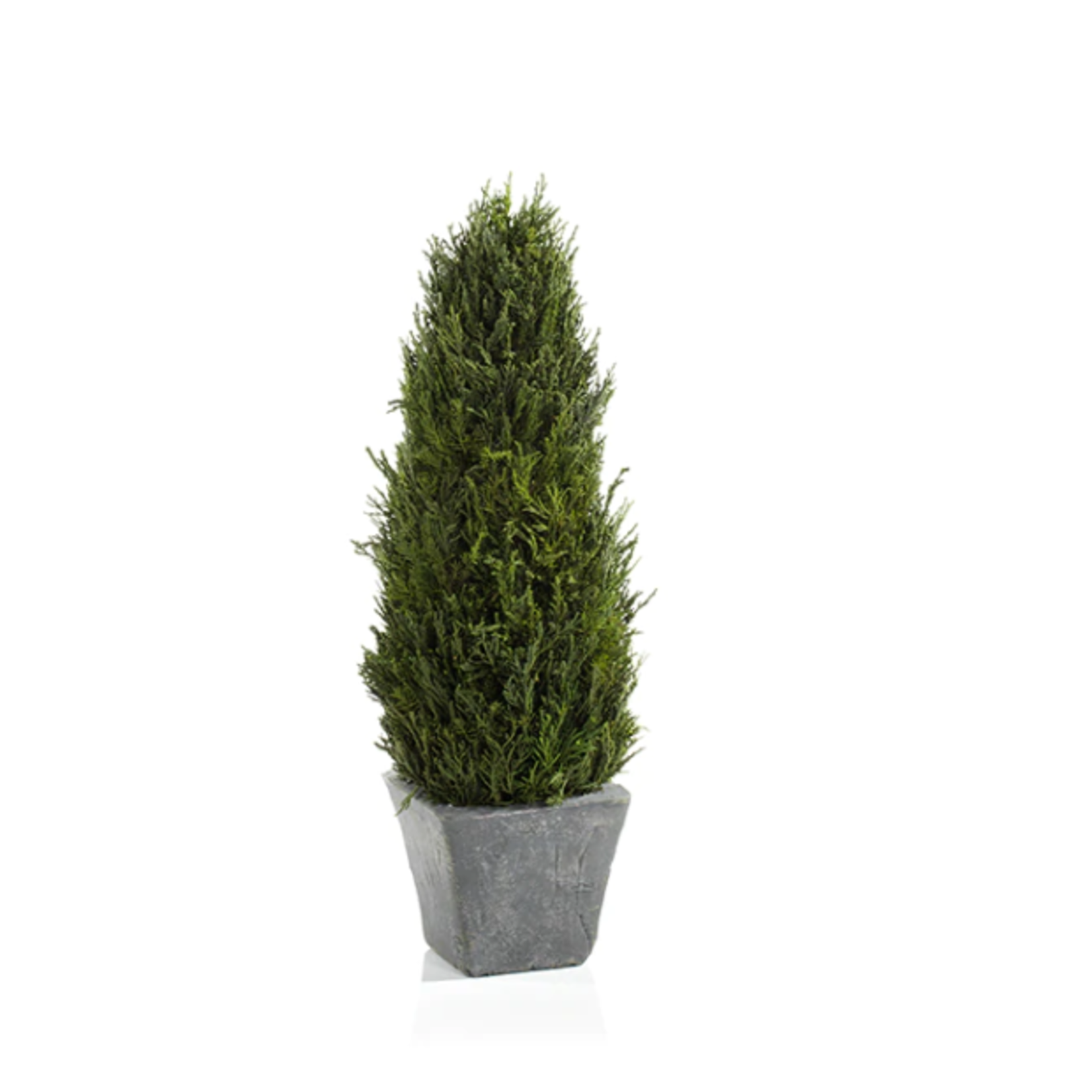 Zodax Cypress Tree Topiary- Medium