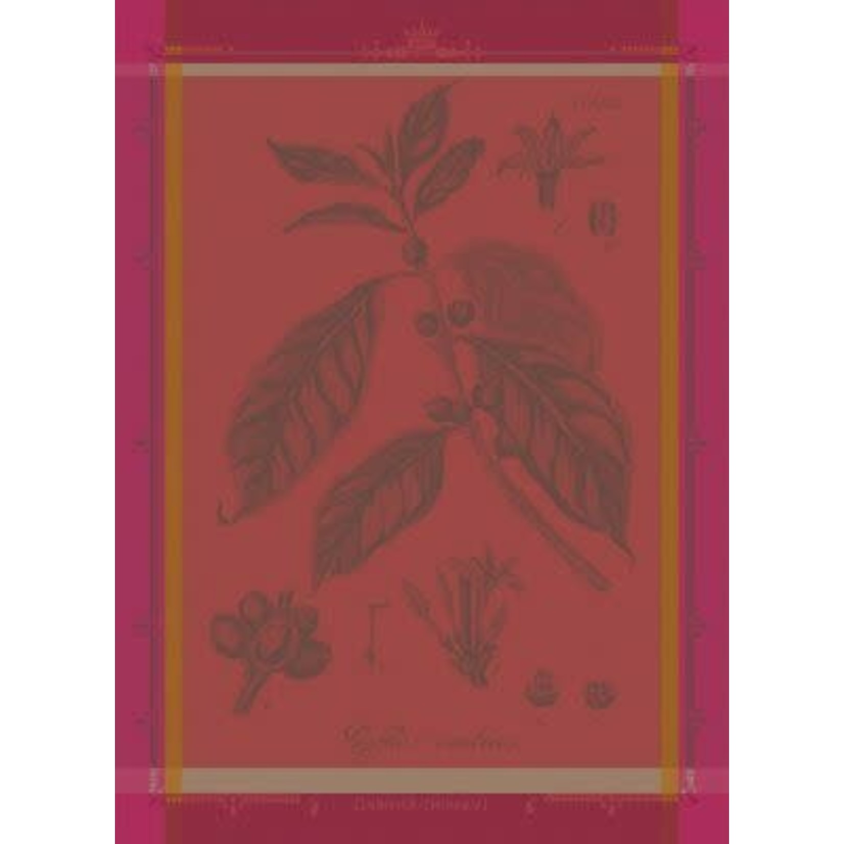 Garnier Thiebaut Cafe Botanique Rose Kitchen Towel