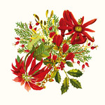 Garnier Thiebaut Poinsettias Holiday Cotton Napkin