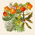 Garnier Thiebaut Vintage Garden Napkin