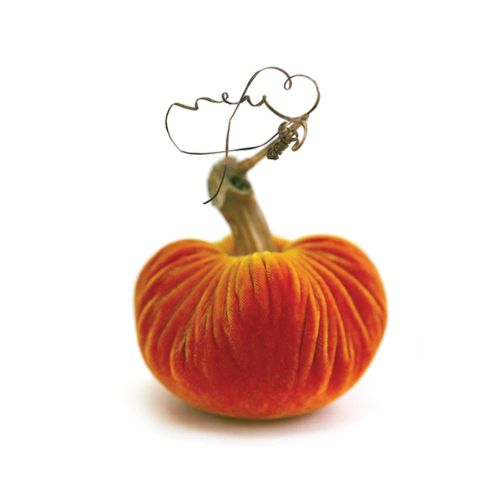 Plush Pumpkin Velvet Pumpkin - 10" Carrot