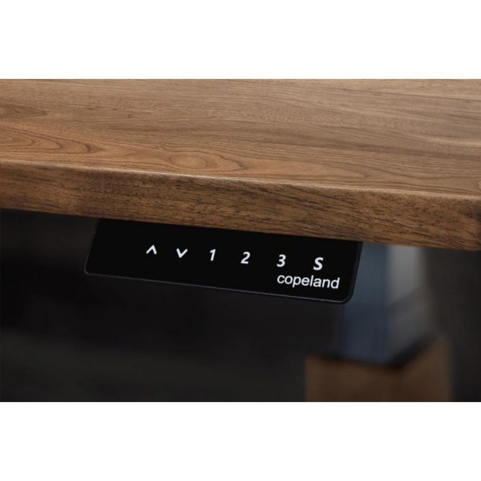 Copeland Invigo Walnut Sit-Stand Desk