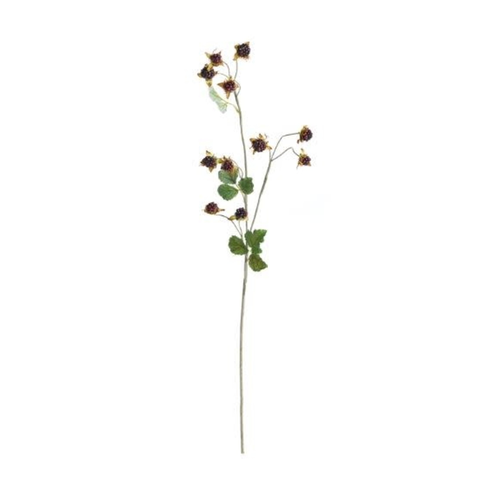 Napa Home and Garden Wild  Blackberry Stem 31"