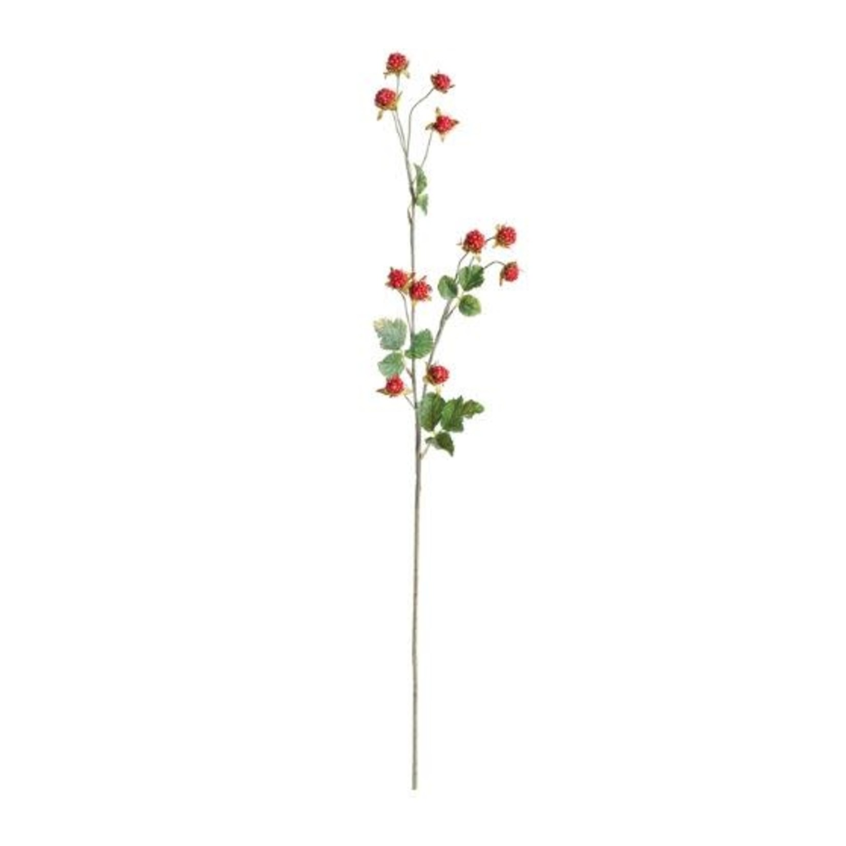 Napa Home and Garden Wild Raspberry Faux Stem 31"