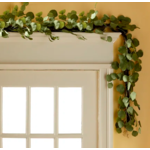 Napa Home and Garden Silver Dollar Eucalyptus Garland 64"