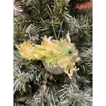 Katherine's Collection Green Fluffle Long Tail Large Bird Ornament