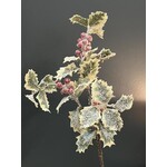 Sherri's Designs Holly Frosted Stem 27"