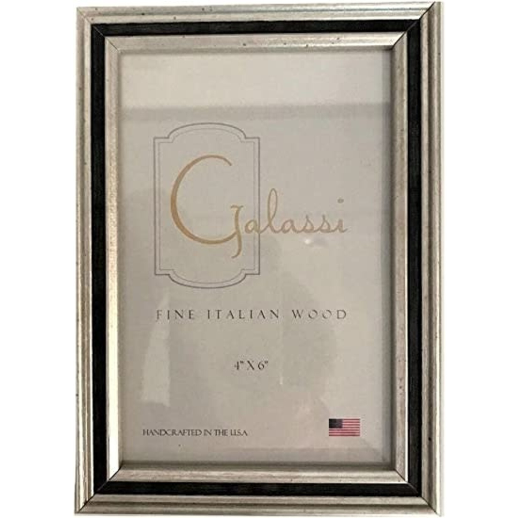 Galassi Moulding Silver with Black Frame 5x7