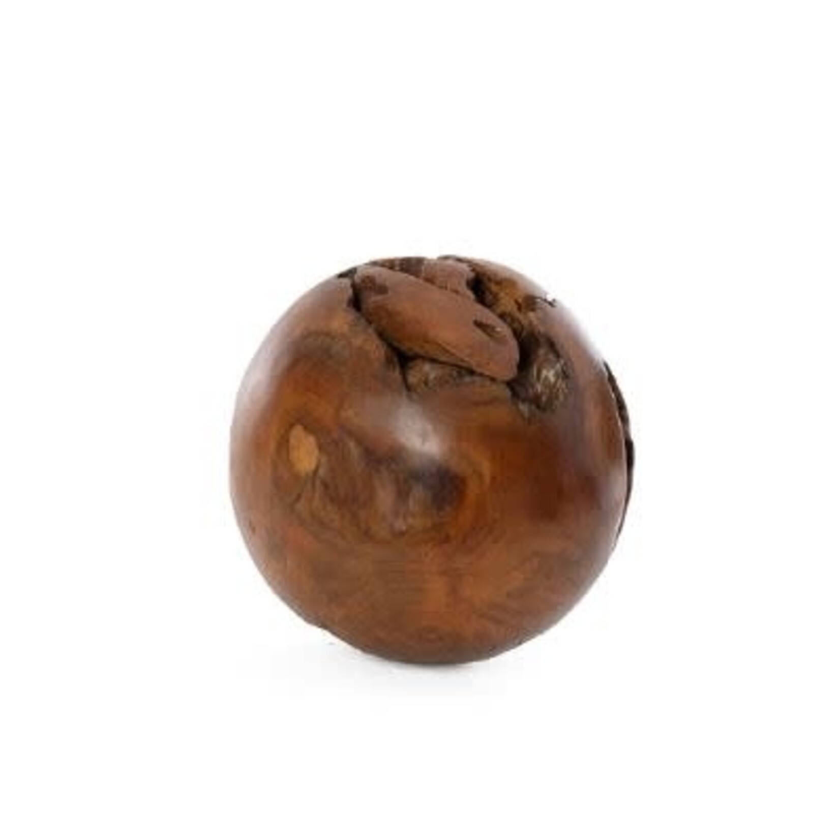Mumbo Jumbo Imports Small Root Ball 16"