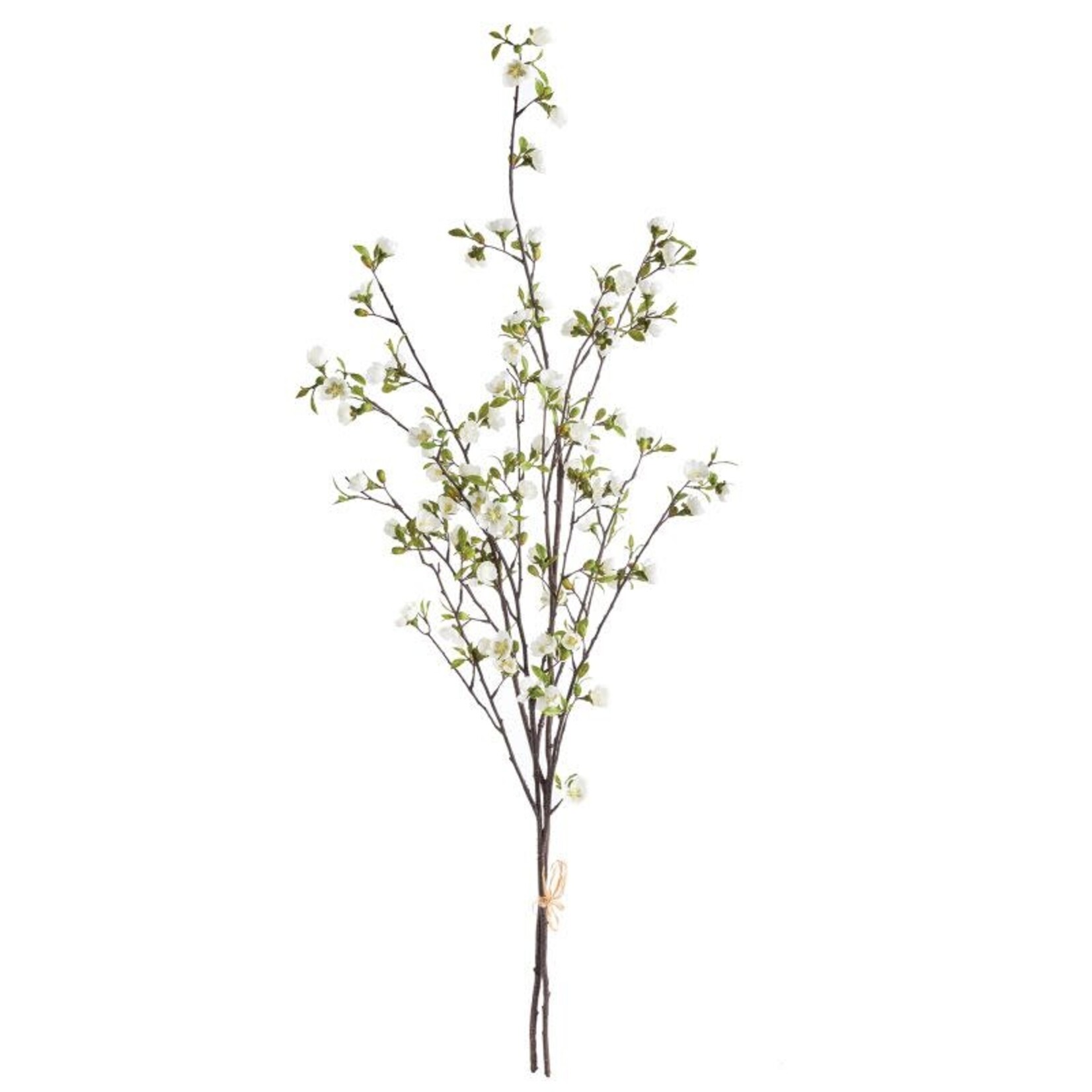 Napa Home and Garden Cherry Blossom Branches 48" Bundle Of 2