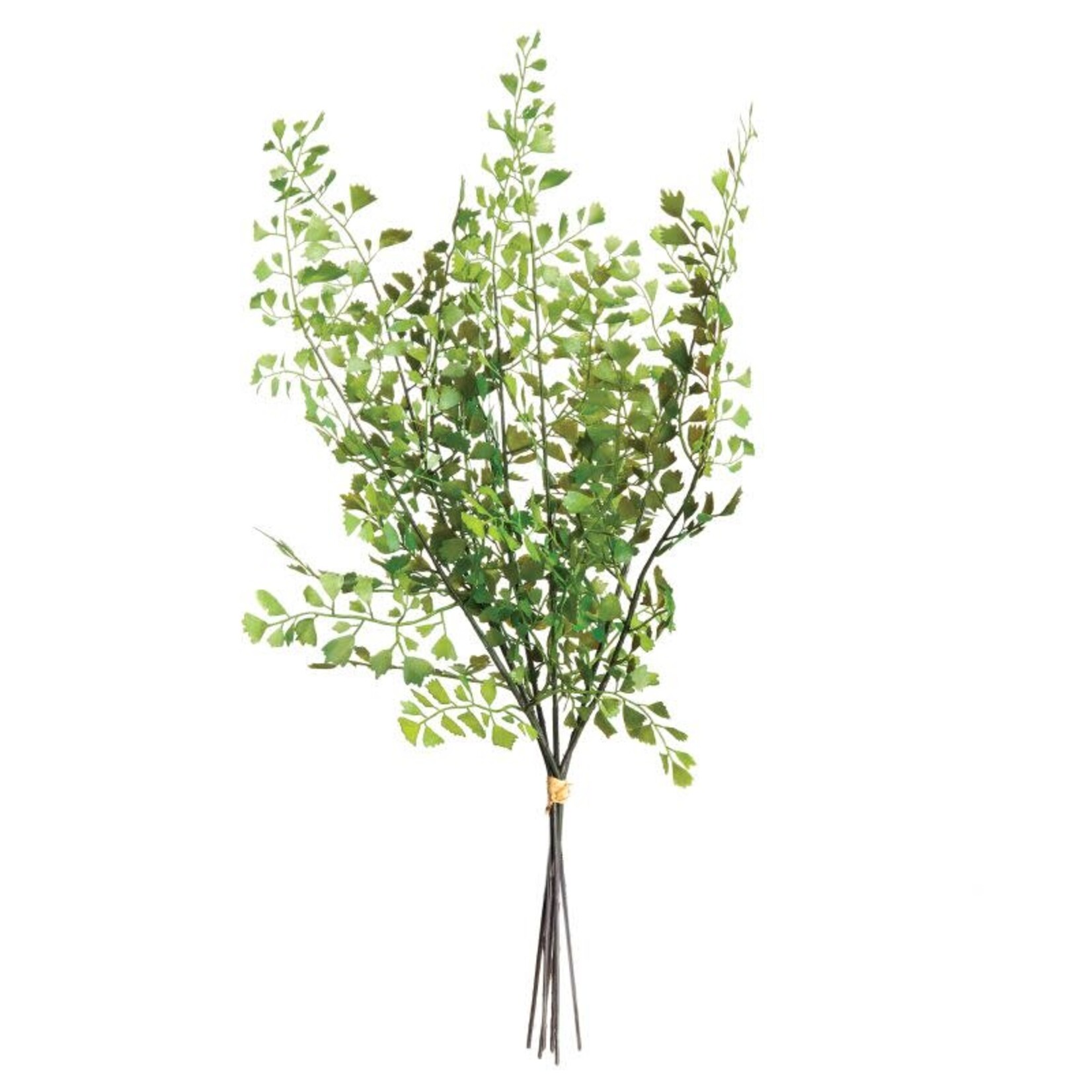 Napa Home and Garden Faux Maidenhair Fern Stems Bundle of 7