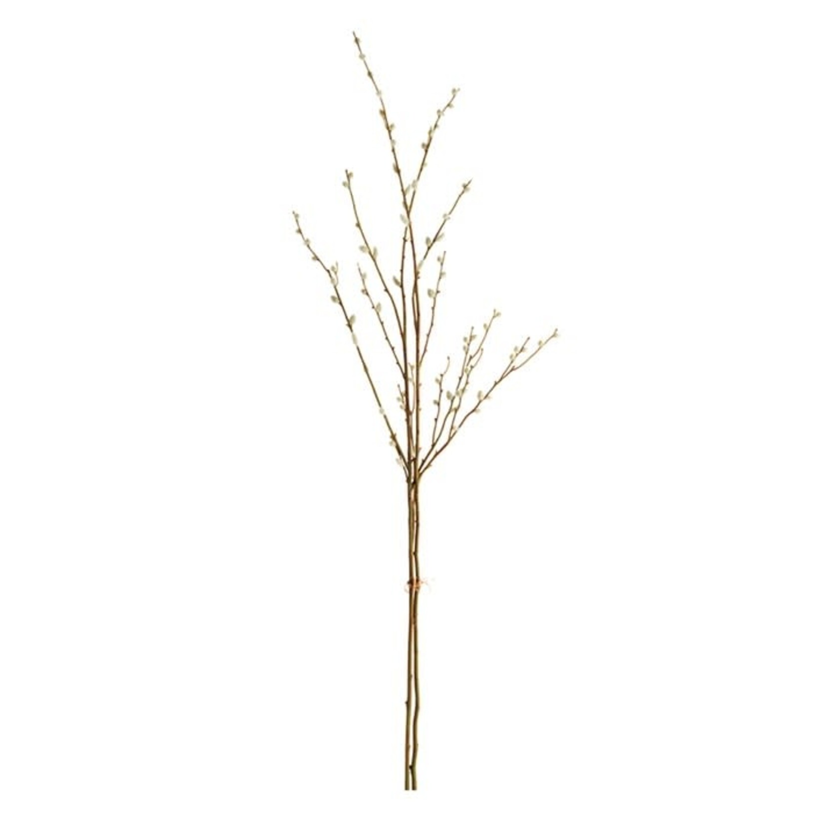 Napa Home and Garden Pussywillow Steams 52" Bundle of 2