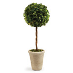 Napa Home and Garden Boxwood Single Sphere Topiary 23.25"
