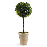 Napa Home and Garden Preserved Boxwood Single Sphere Topiary 23.25"