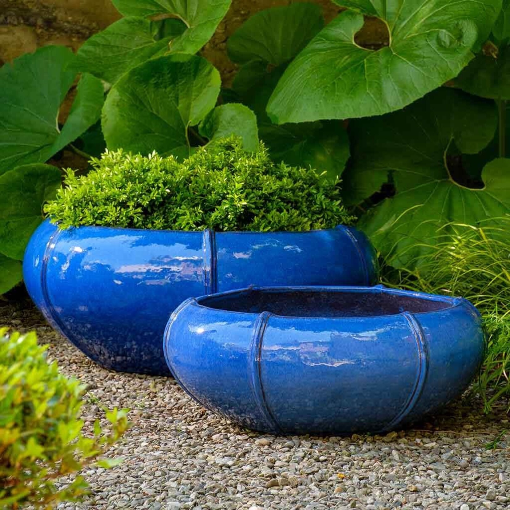 Campania Rib Vault Riviera Blue Low Glazed Planter - Large 28″ x 12″