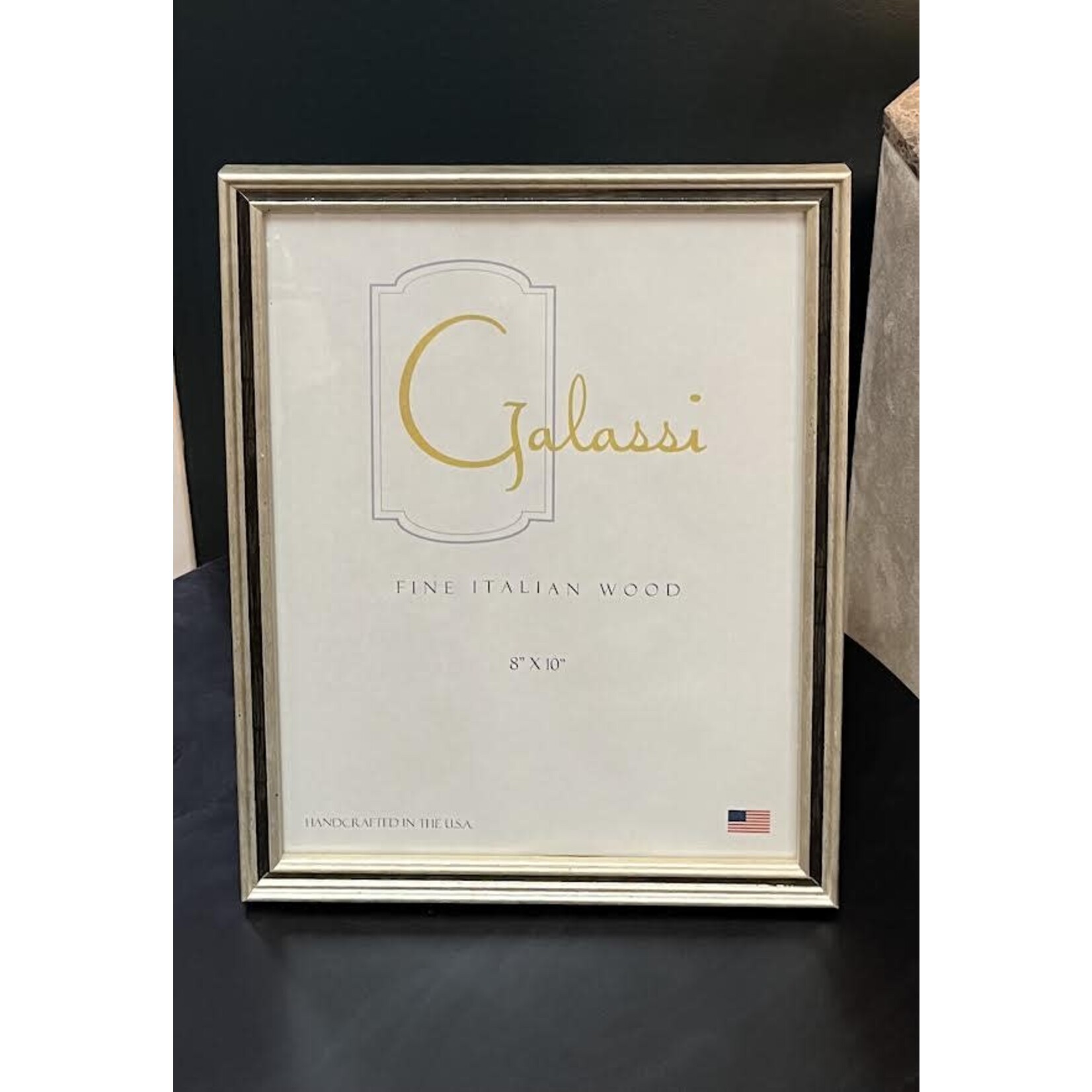 F.G. Galassi Silver With Black Trim Frame 8x10