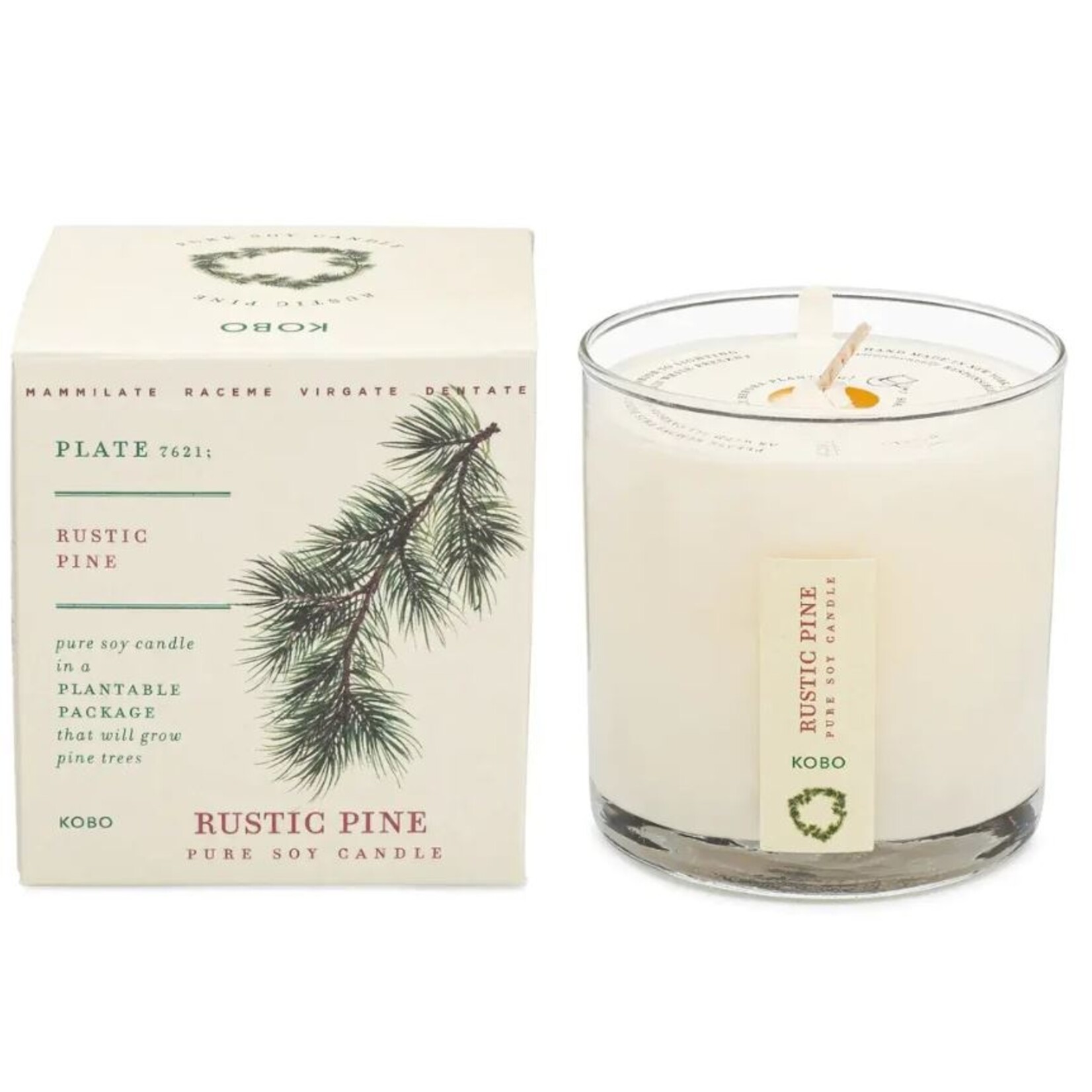 Kobo Rustic Pine Plant The Box Candle