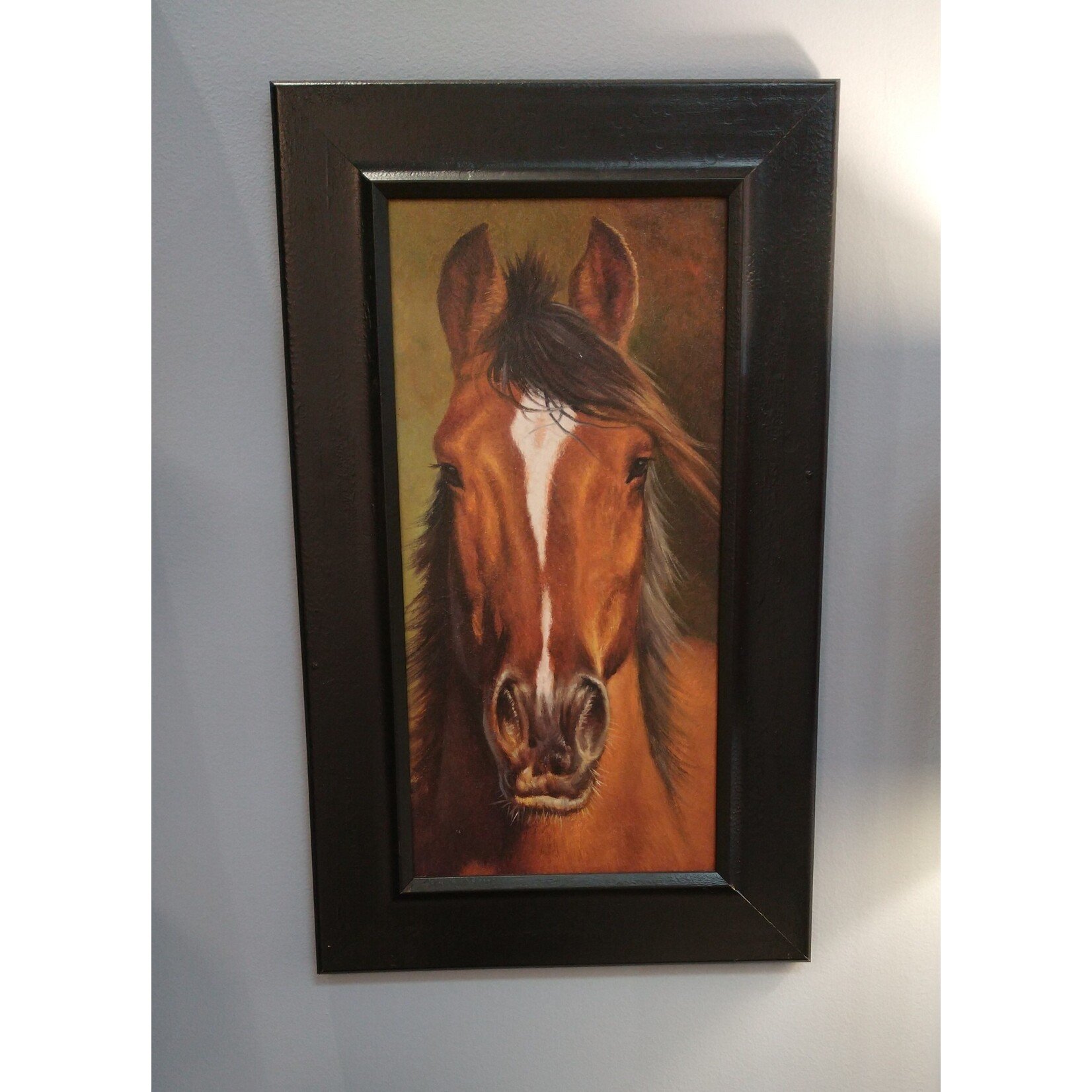 Shadow Catchers Framed Horse Print Artwork