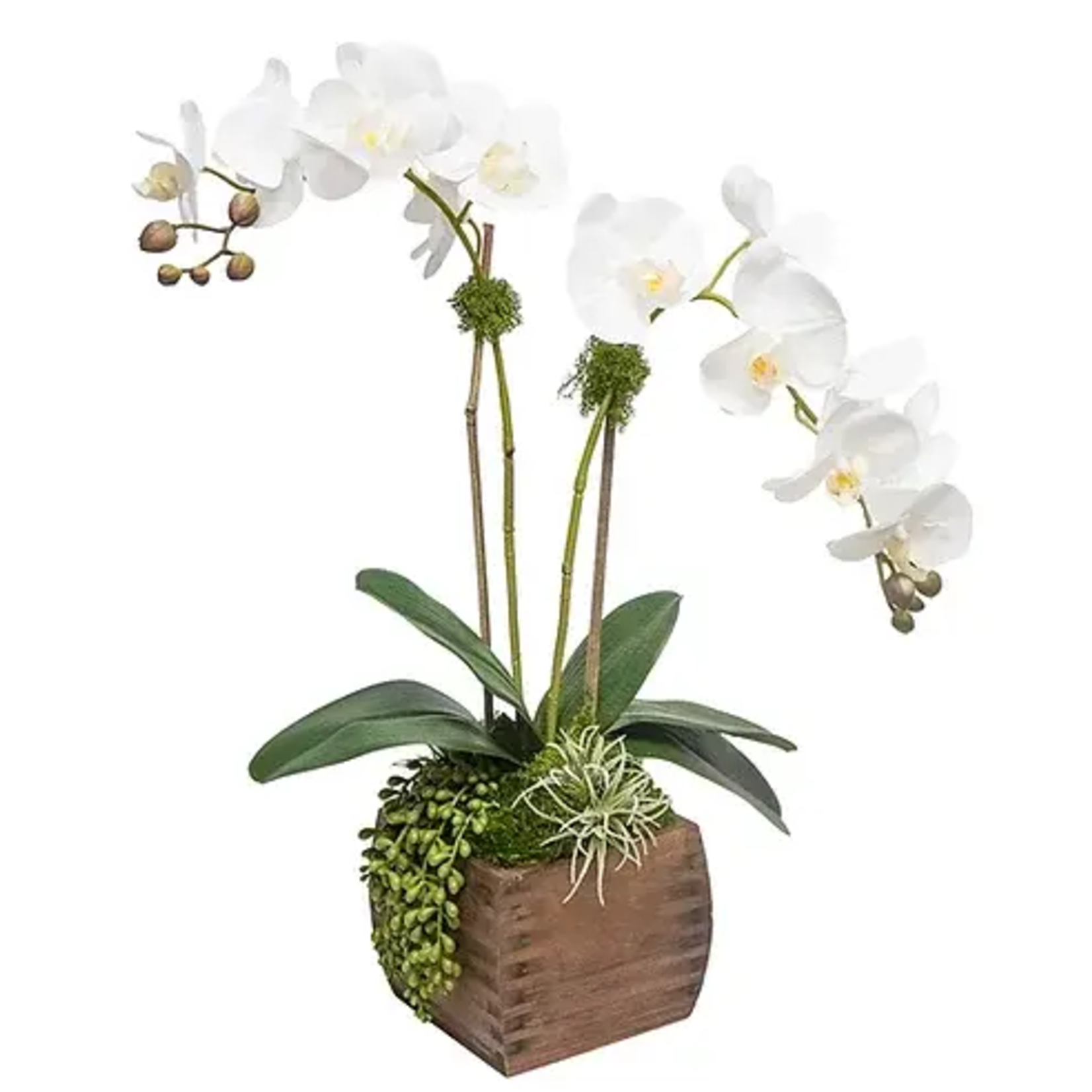 The Ivy Guild White Orchids In Small Wood Box Faux Arrangement