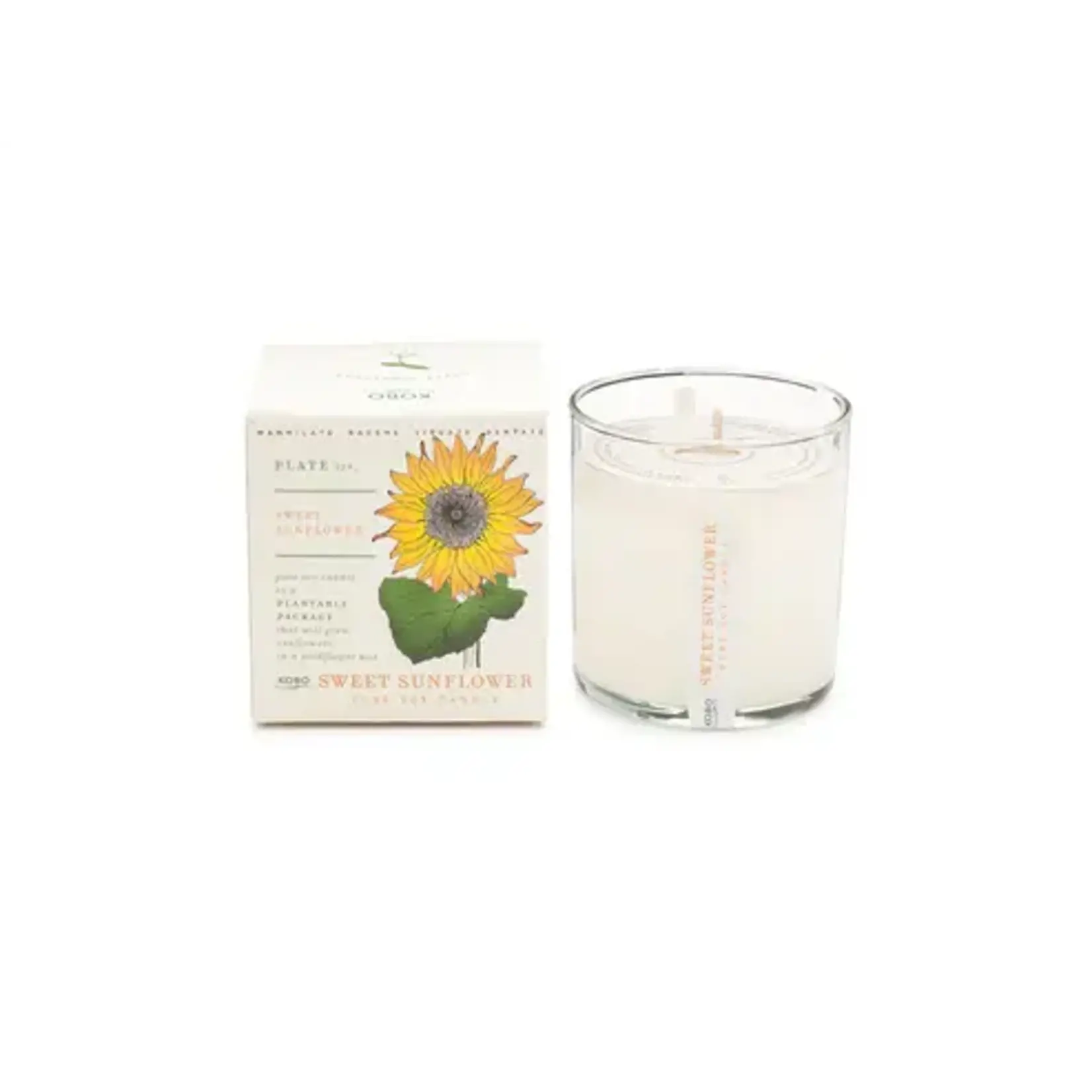 Kobo Sweet Sunflower Plant The Box Candle