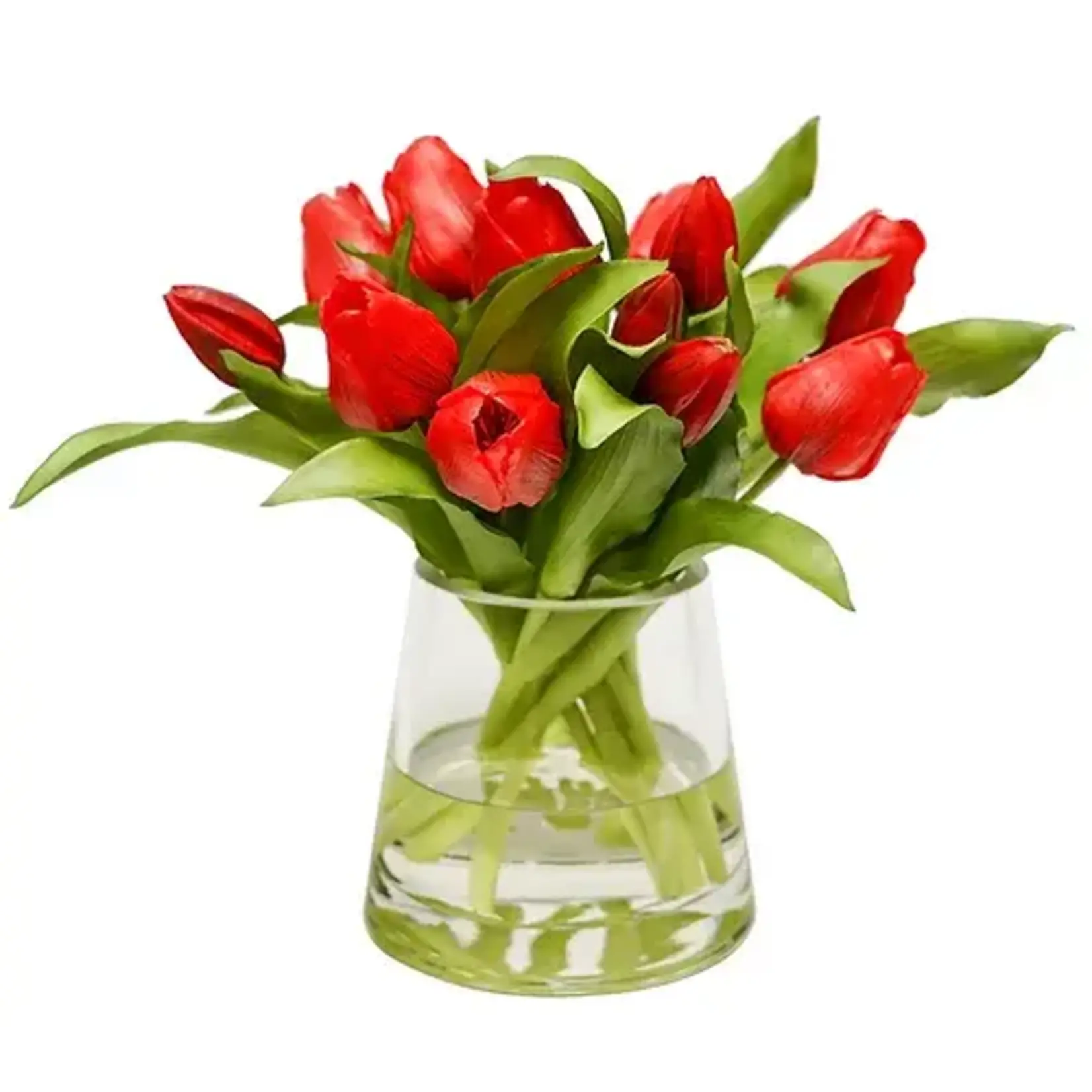 The Ivy Guild Red Faux Tulip Floral Arrangement  in 5" Glass Pyramid