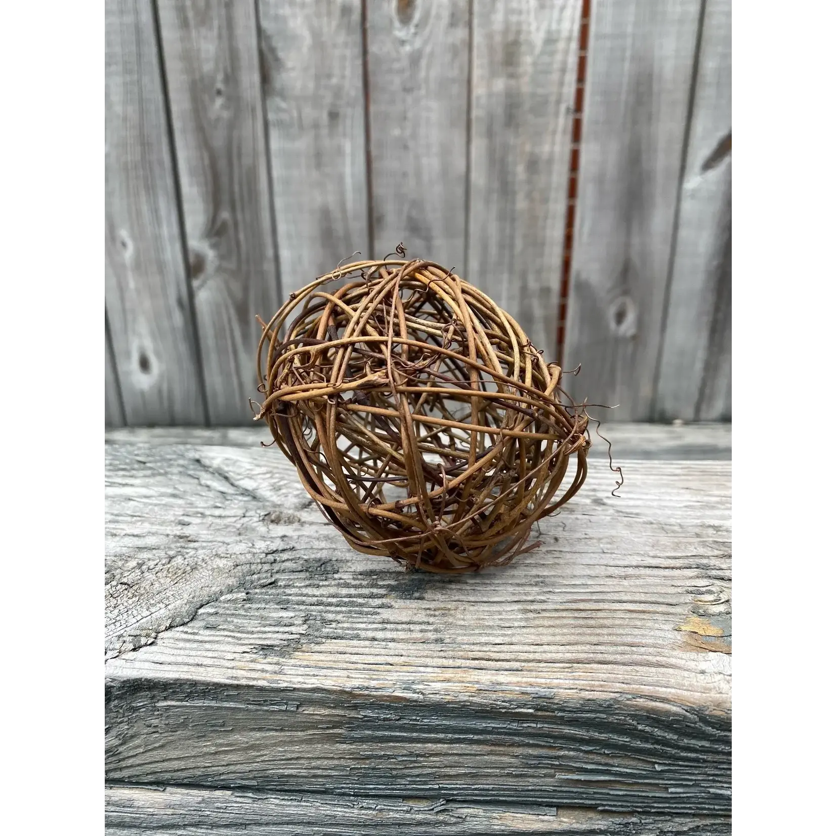 Coast Wholesale FL 6" Grapevine Ball