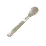 Frances Stoia Assoc Mother of Pearl Beluga Caviar 4 oz Spoon