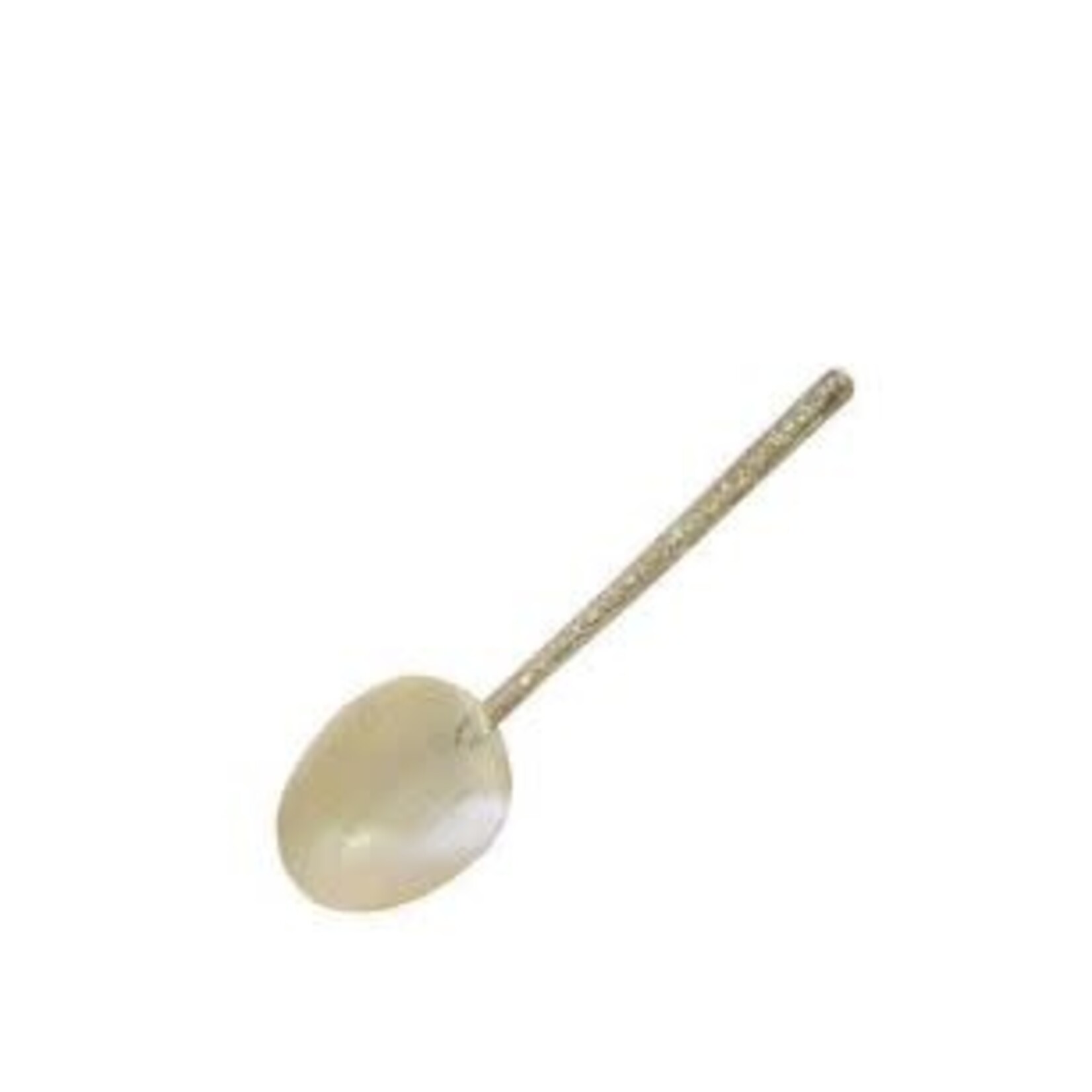 Frances Stoia Assoc Rivershell Spoon with Decorative Metal Handle